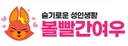 볼빨간여우