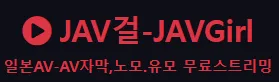 JAV걸