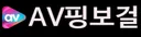 AV핑보걸